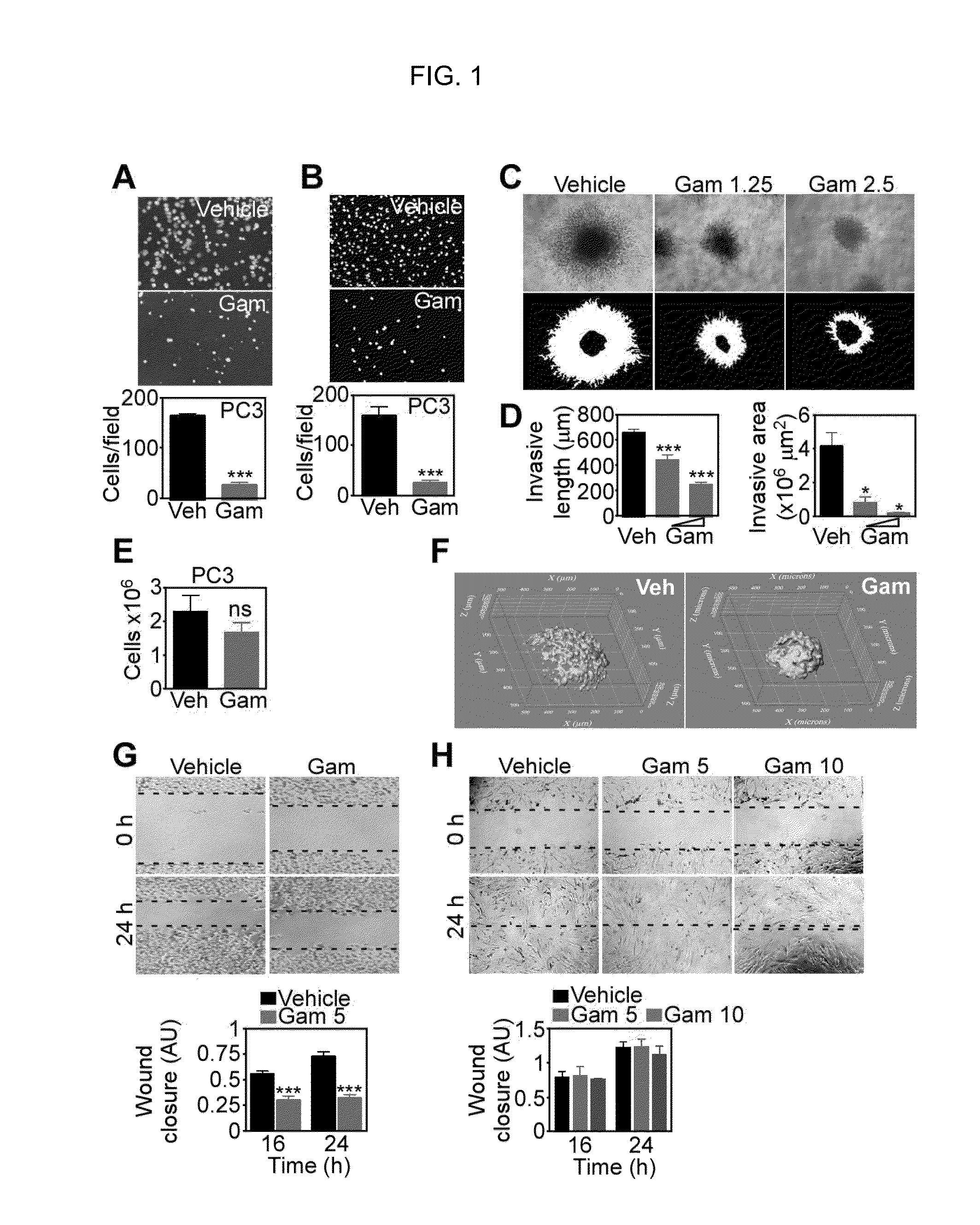 Methods and Compositions for Neoadjuvant Therapy