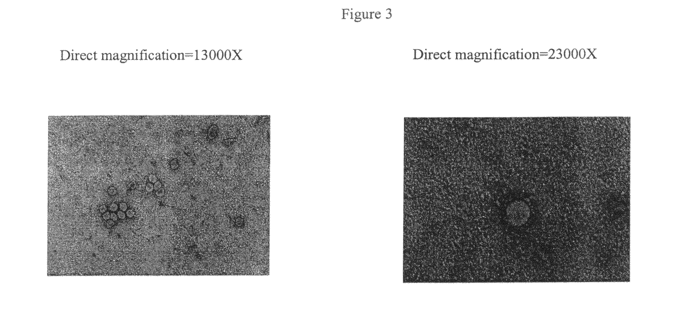 SARS vaccine compositions and methods of making and using them