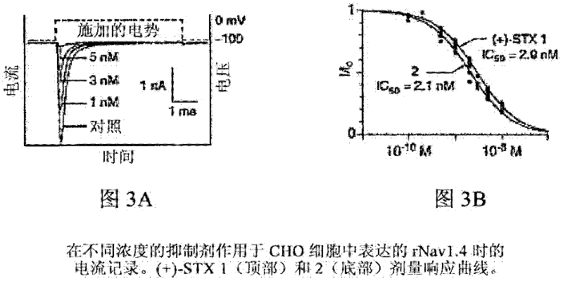 Methods and compositions for studying, imaging, and treating pain