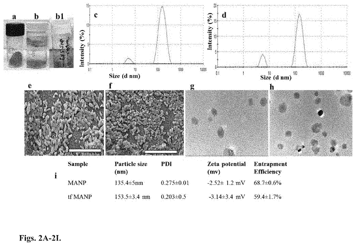 Targeted Nanoparticle For The Treatment Of Traumatic Brain Injury And Other CNS Diseases