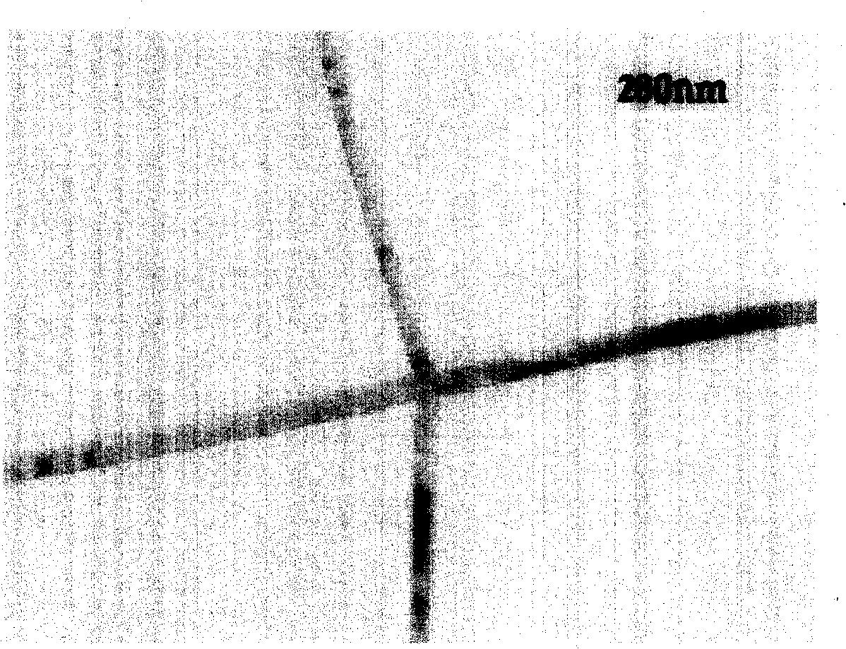 Method for preparing carbon nano-tube or rod by hydrothermal process