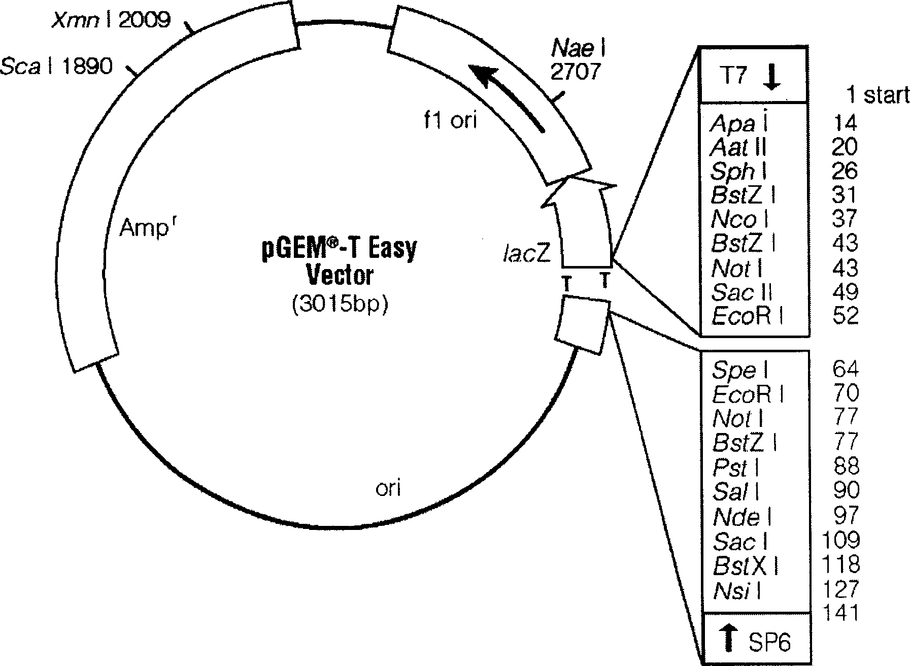 Quantitative detection method for transgenic farm product and food mixture