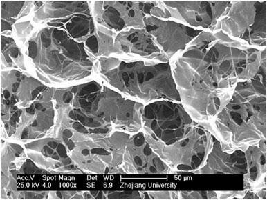 Quaternized chitosan/siRNA composite particle-loaded skin regeneration material and preparation method thereof