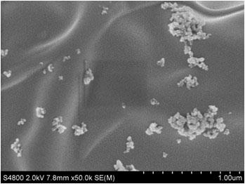 Quaternized chitosan/siRNA composite particle-loaded skin regeneration material and preparation method thereof