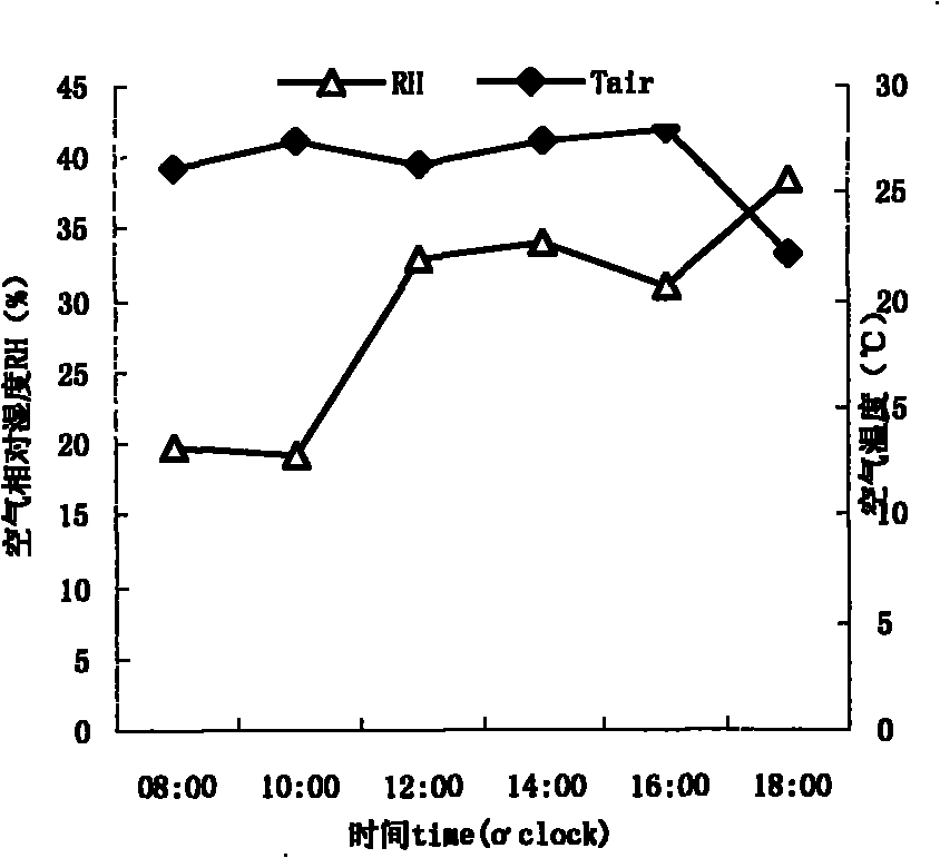 Method for improving photosynthetic capacity of tall fescue by adopting saline soil filled with waste crumb rubber