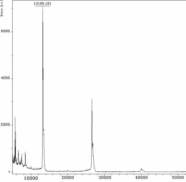 Rv1793 recombinant protein for serodiagnosis of medicament-resistant tuberculosis