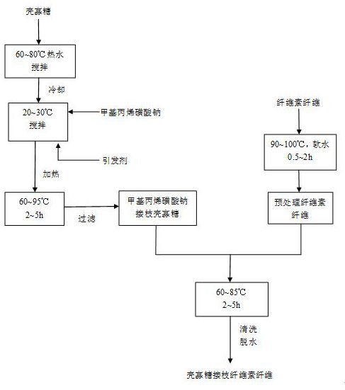 A kind of preparation technology of chitosan oligosaccharide grafted cellulose fiber