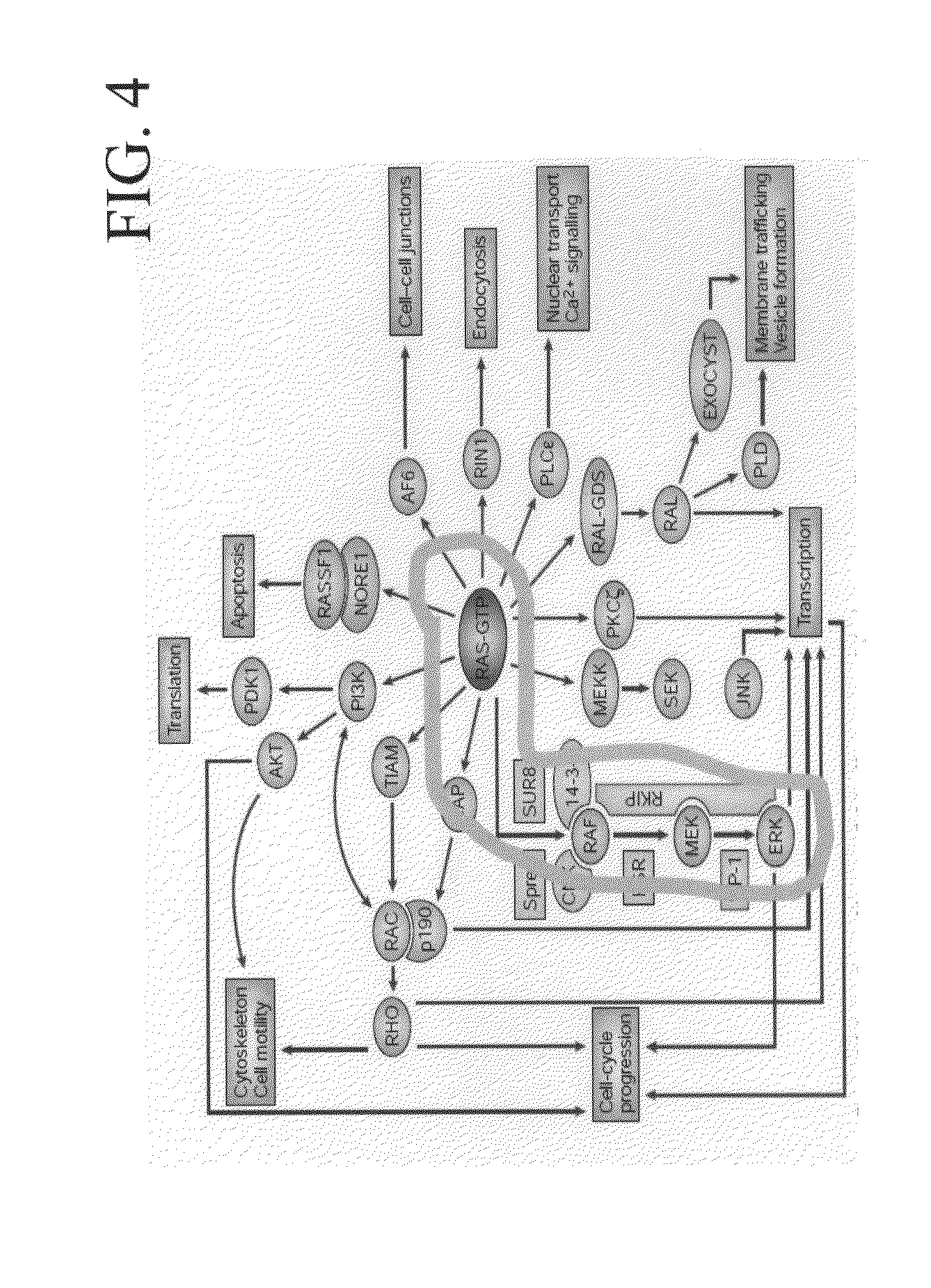 Compunds and compositions that cause non-apoptotic cell death and uses thereof