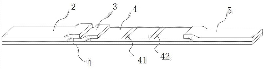 Colloidal gold rapid diagnosis test paper of porcine 2 type torque teno virus antibody and preparation method thereof