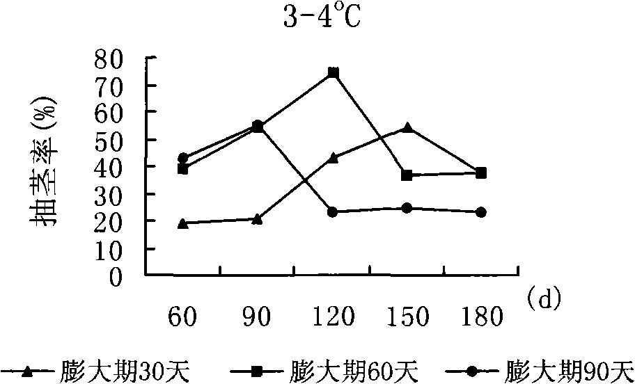 Method for rapid cultivation of lily bud scale bulb-lets