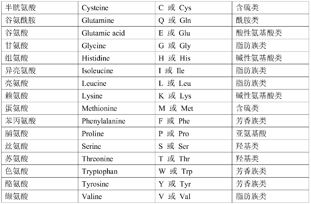 A kind of fumarase mutant and its application