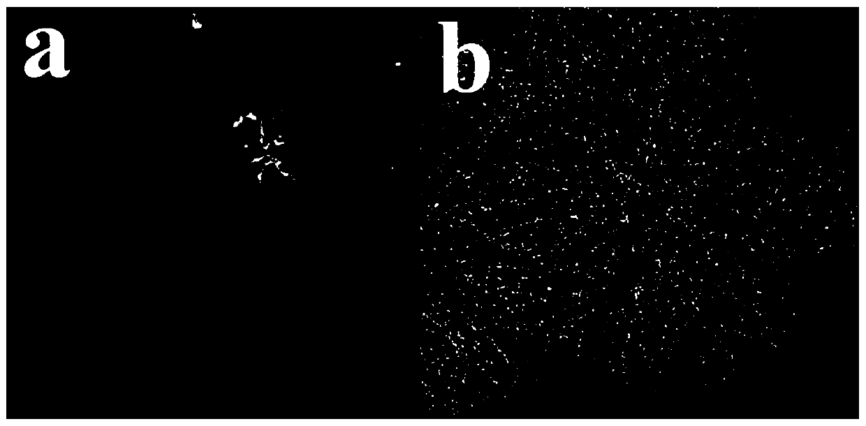 Ultrafine nitrogen-doped molybdenum carbide nanoparticle loaded on three-dimensional nitrogen-doped flower-shaped carbon spheres, as well as preparation method and application thereof