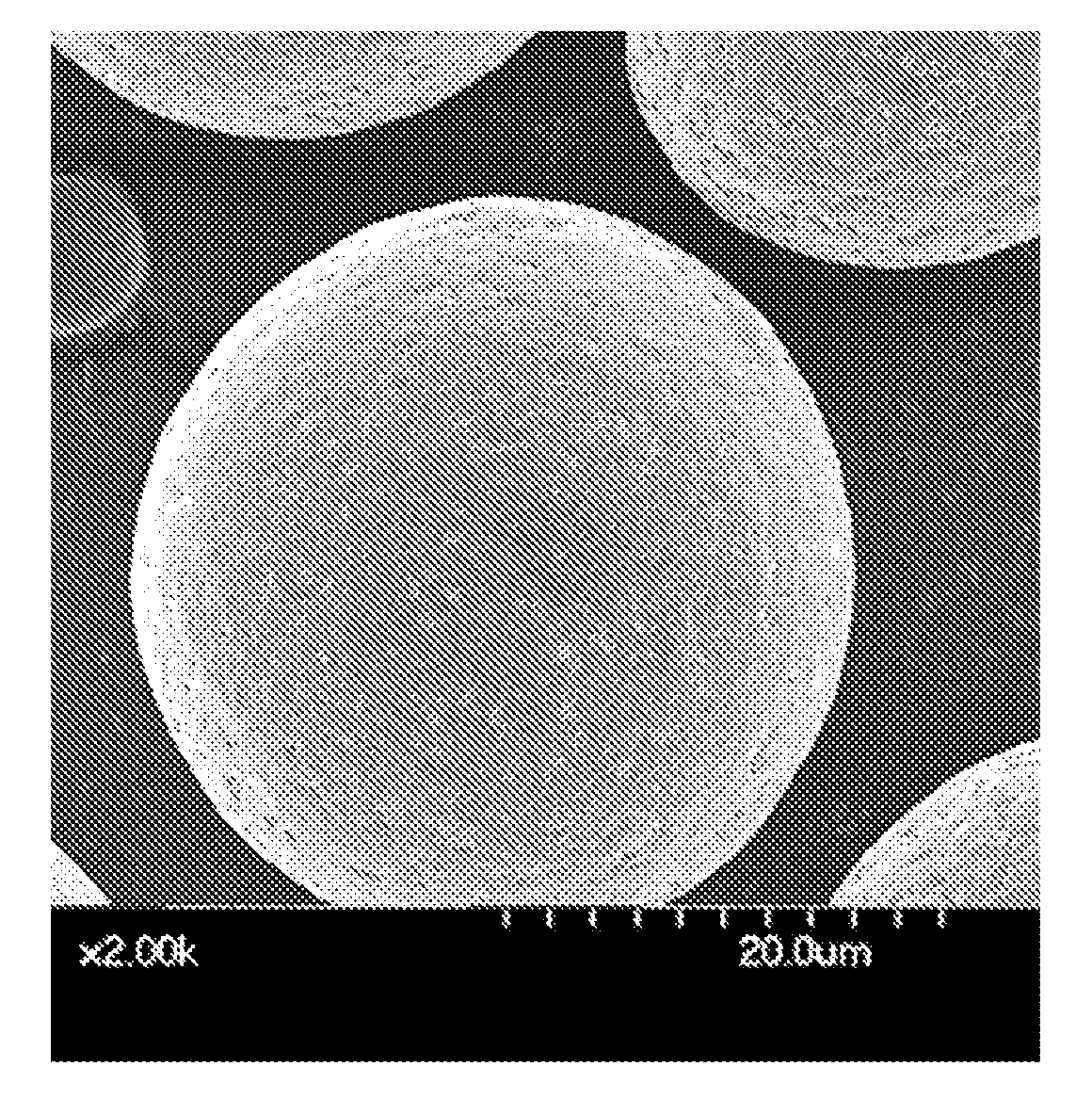 Production method of magnetic carrier and magnetic carrier produced therewith