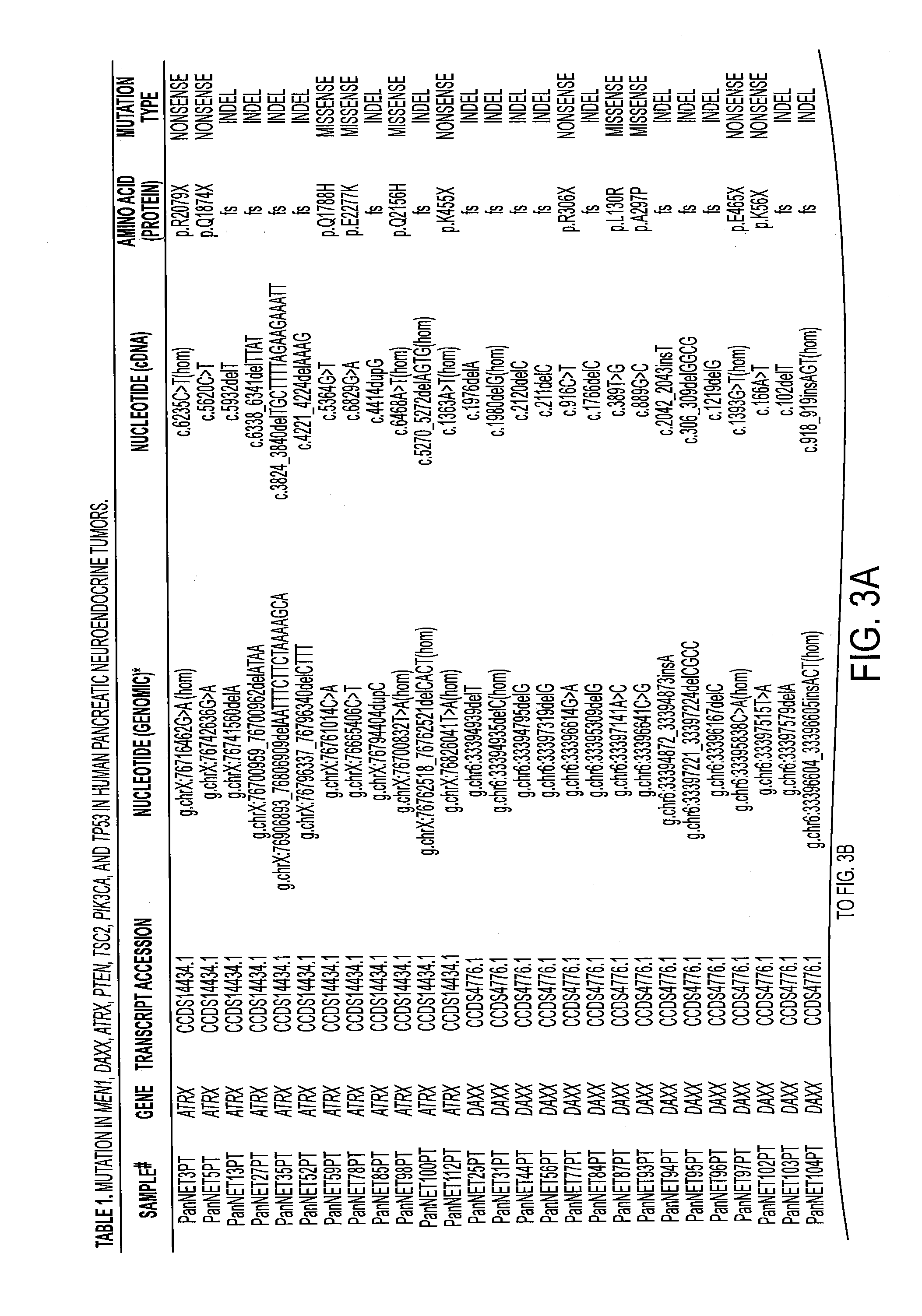 Genes frequently altered in pancreatic neuroendocrine tumors