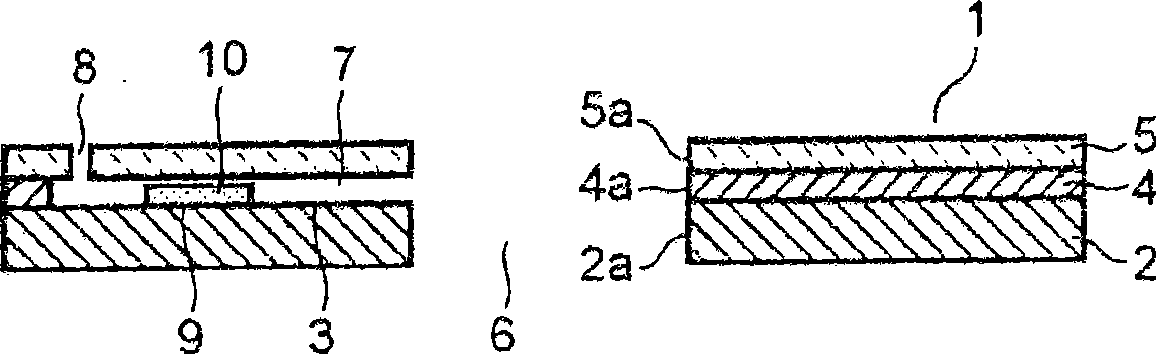 Blood sensor and blood examining instrument including same