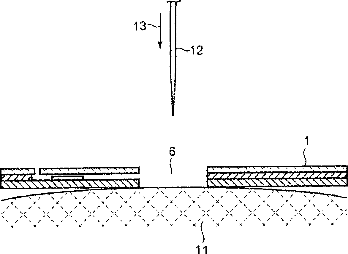 Blood sensor and blood examining instrument including same