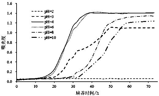 Special Zygosaccharomyces rouxii for fermented sauce with fragrance increasing and color reducing functions and application thereof