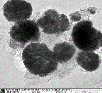 Preparation and Application of Molecularly Imprinted Hybrid Materials of Estrogenic Endocrine Disruptors