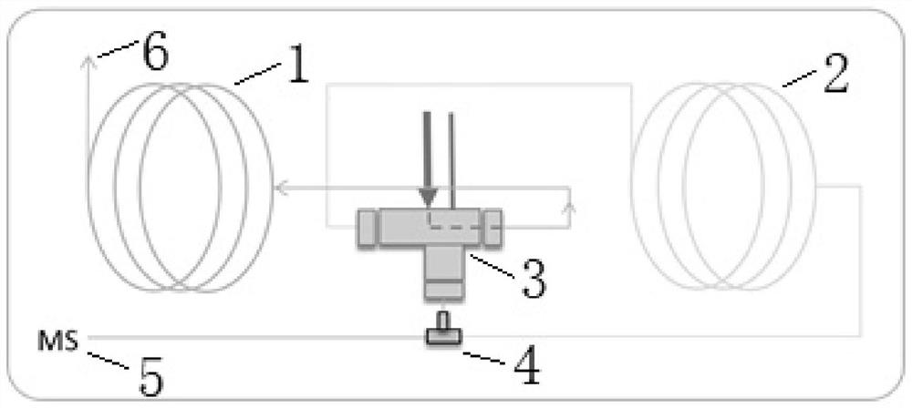 A gas chromatography mass spectrometry detection system and method