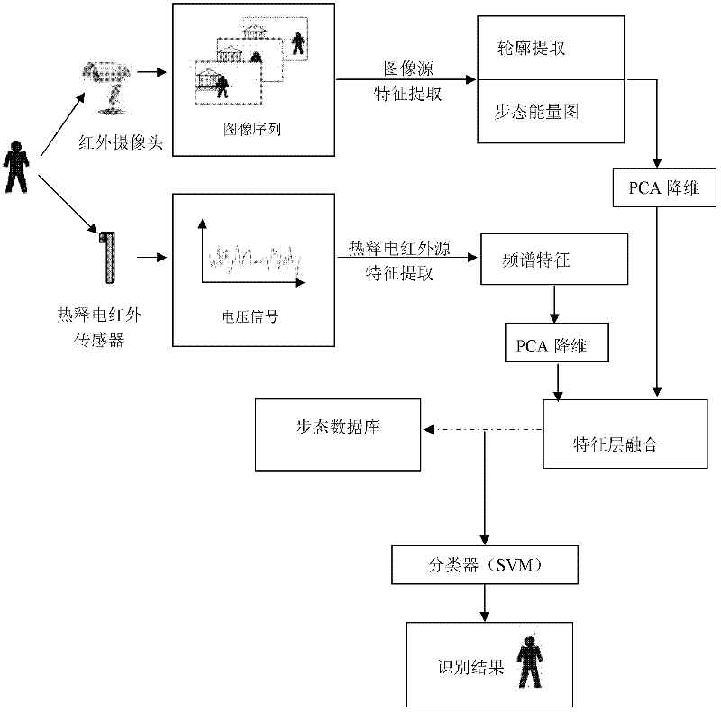 Infrared gait dual-channel feature fusion recognition method