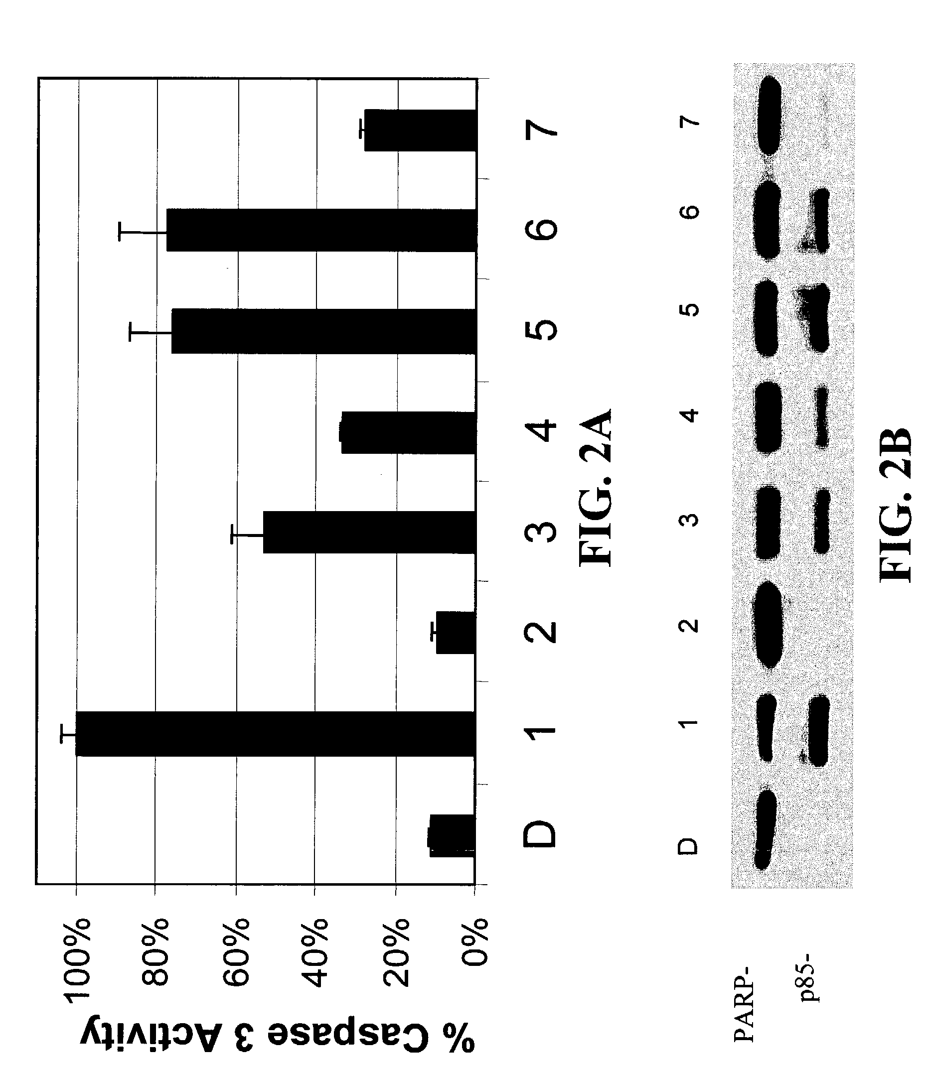 Methods for preventing and treating cancer using N-thiolated β-lactam compounds and analogs thereof