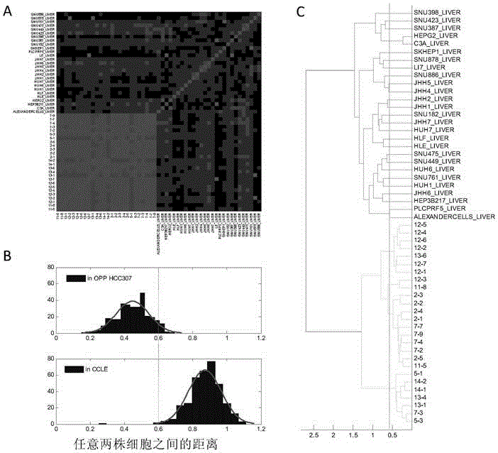 Screening method for anti-tumor medicine biomarker and application of anti-tumor medicine biomarker