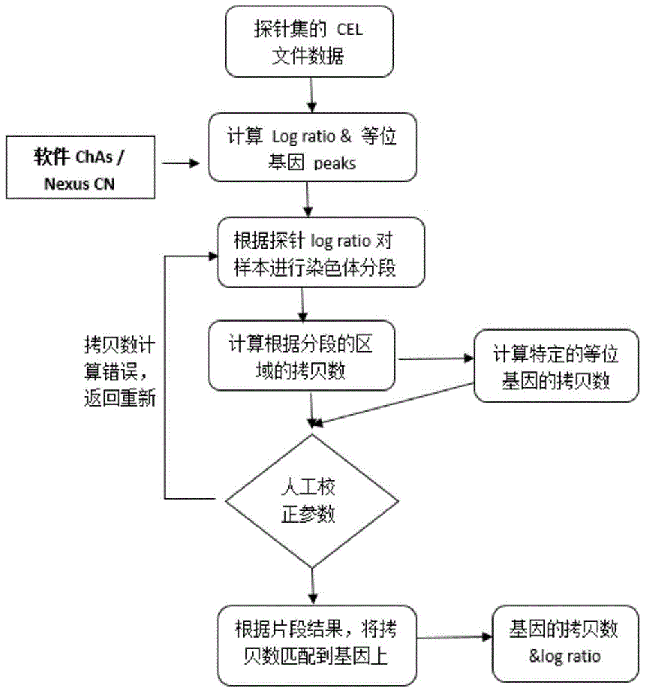 Screening method for anti-tumor medicine biomarker and application of anti-tumor medicine biomarker