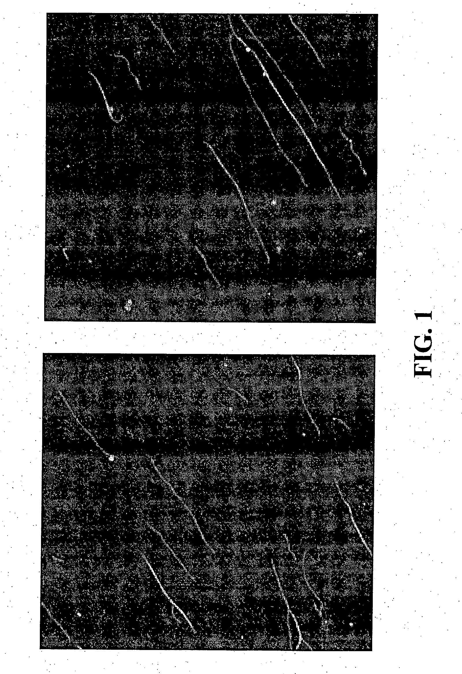 Alignment of carbon nanotubes on a substrate via solution deposition