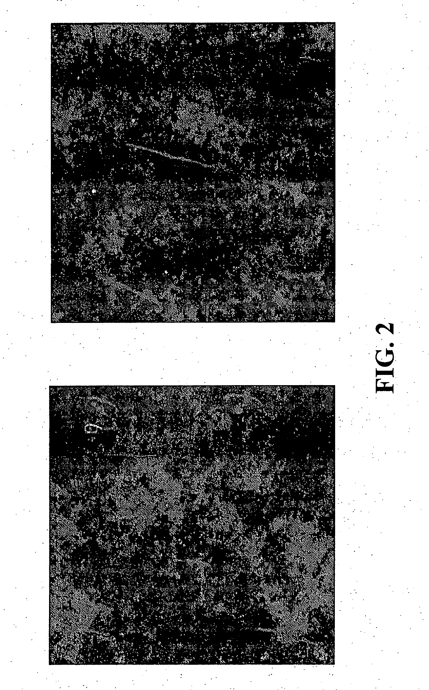 Alignment of carbon nanotubes on a substrate via solution deposition