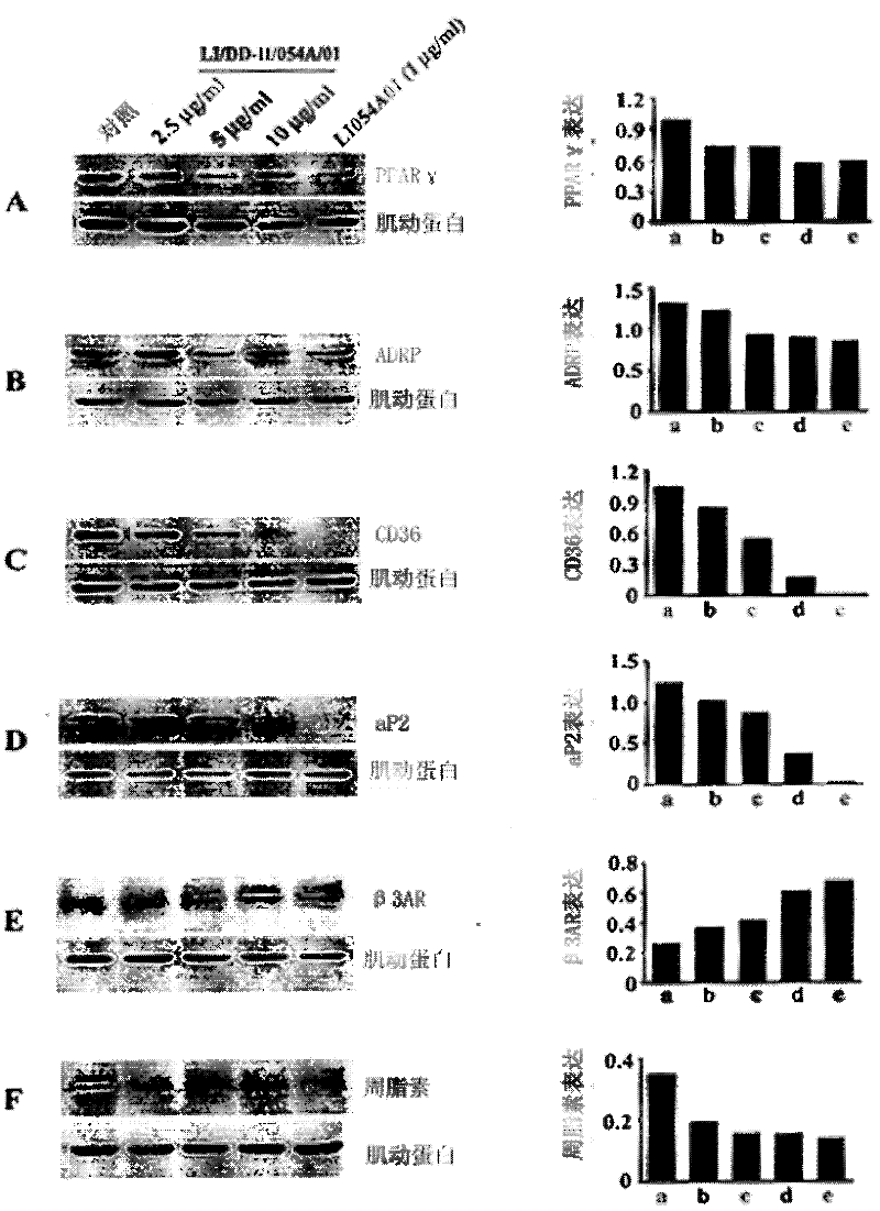 A blend selected from Asteraceae tomentosa and Mangosteen for metabolic syndrome control