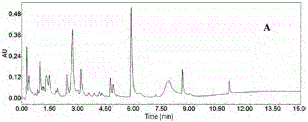 Fermentation preparation process of Streptomyces marinensis and secondary metabolite Streptochlorin thereof