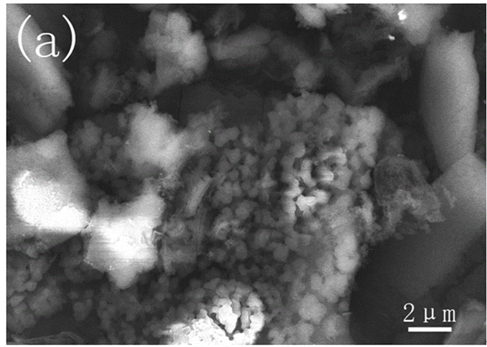 Preparation method of phosphotungstic acid and carbon nitride composite photocatalyst