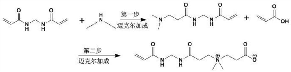 Zwitterionic monomer containing bisamide structure and preparation method of zwitterionic monomer