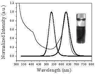 Chemical preparation method of cdte quantum dot fluorescent probe for detection of trace paraquat