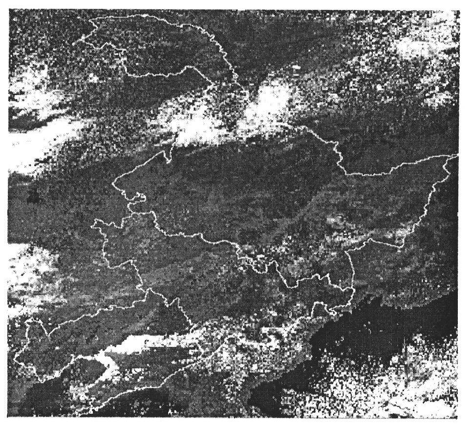 Microwave remote sensing pixel element decomposing method based on land and water living beings classifying information