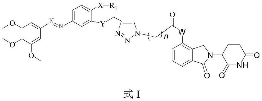 Azo compound for degrading tubulin as well as synthesis method and application of azo compound