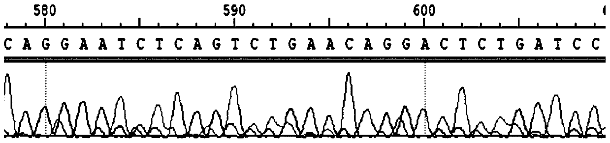 Method for improving biological mineralization capacity of silk fibroin