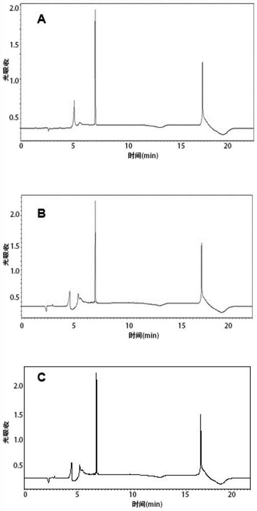 Polypeptide for promoting skin repair and application thereof