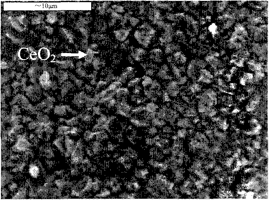 Antiseptic filtering metal material by plating Cu and CeO2 on surface of copper wire mesh, and preparation and application thereof