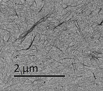 Preparation method of cellulose nanofiber biomass gel and aerogel