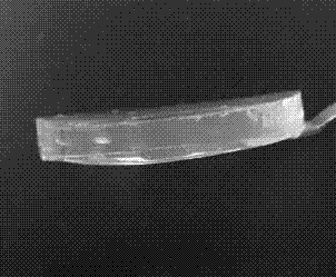 Preparation method of cellulose nanofiber biomass gel and aerogel