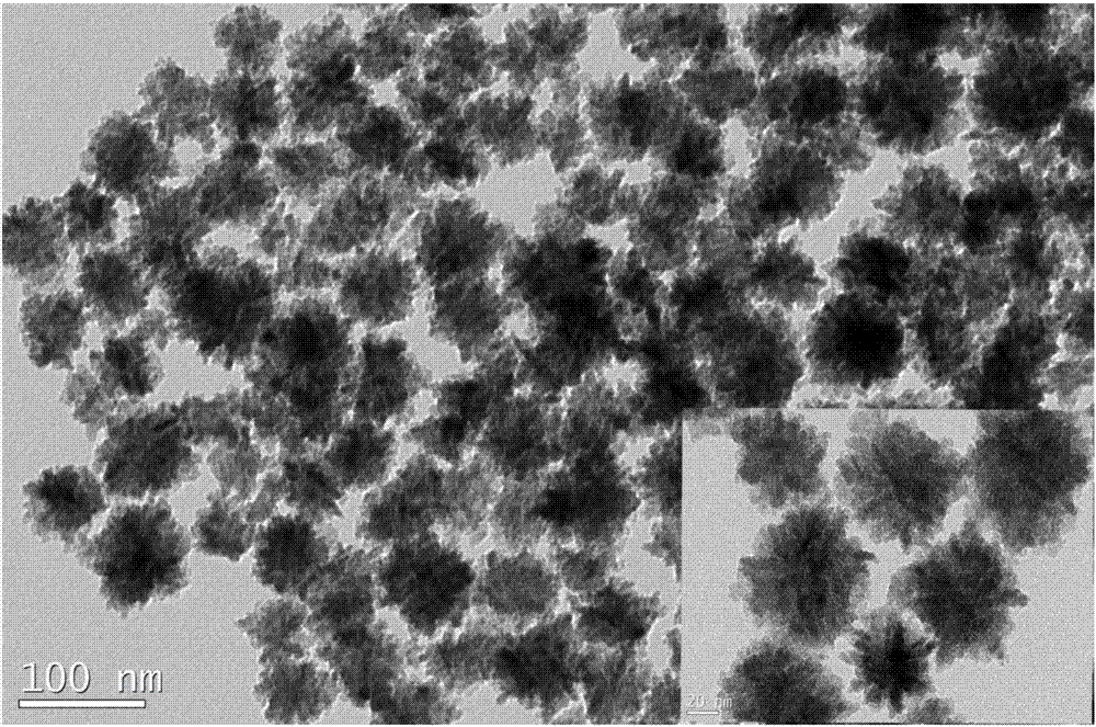 Preparation method of flower shape molybdenum dioxide nano powder