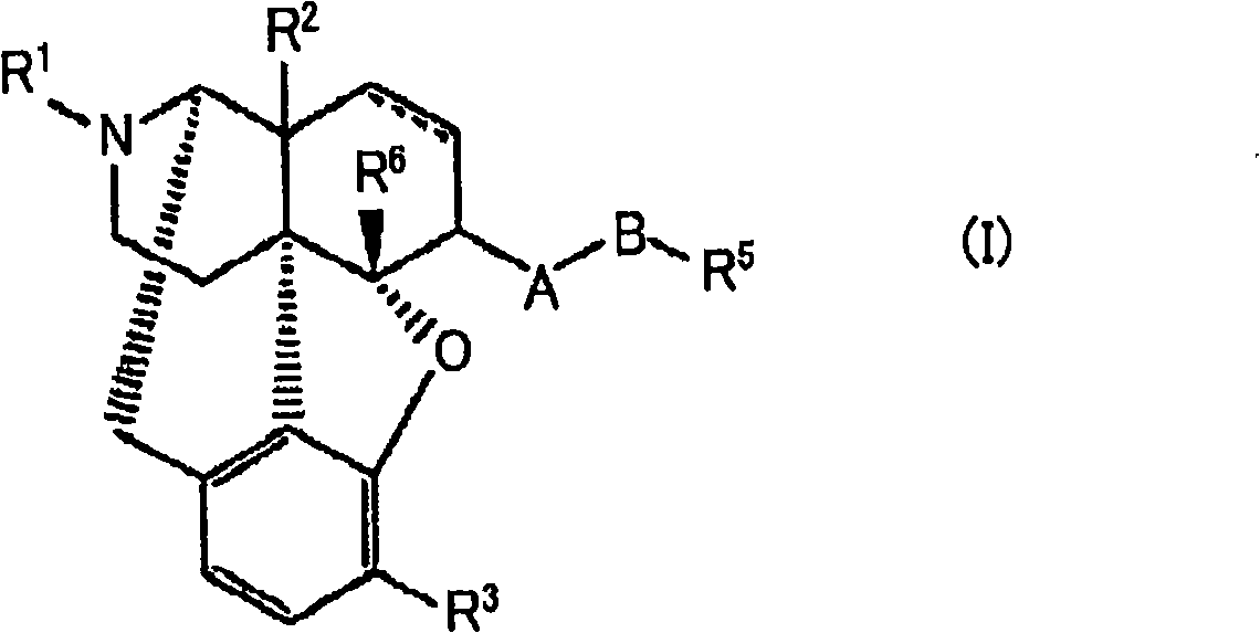 Stable solid preparation comprising 4,5-epoxymorphinan derivative