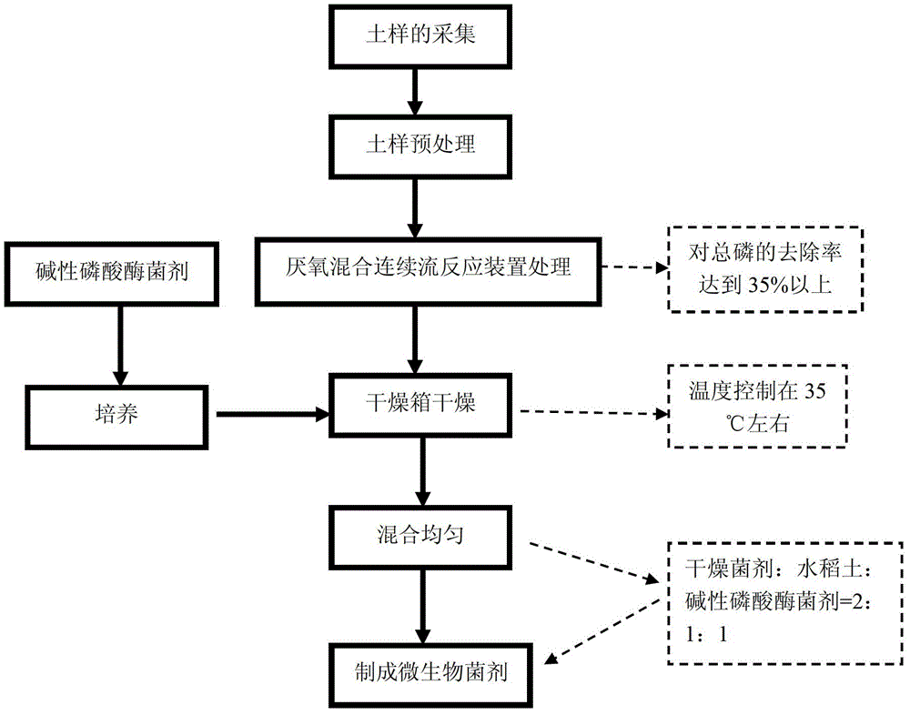 A microbial agent for converting soil invalid phosphorus into available phosphorus, its preparation method and application