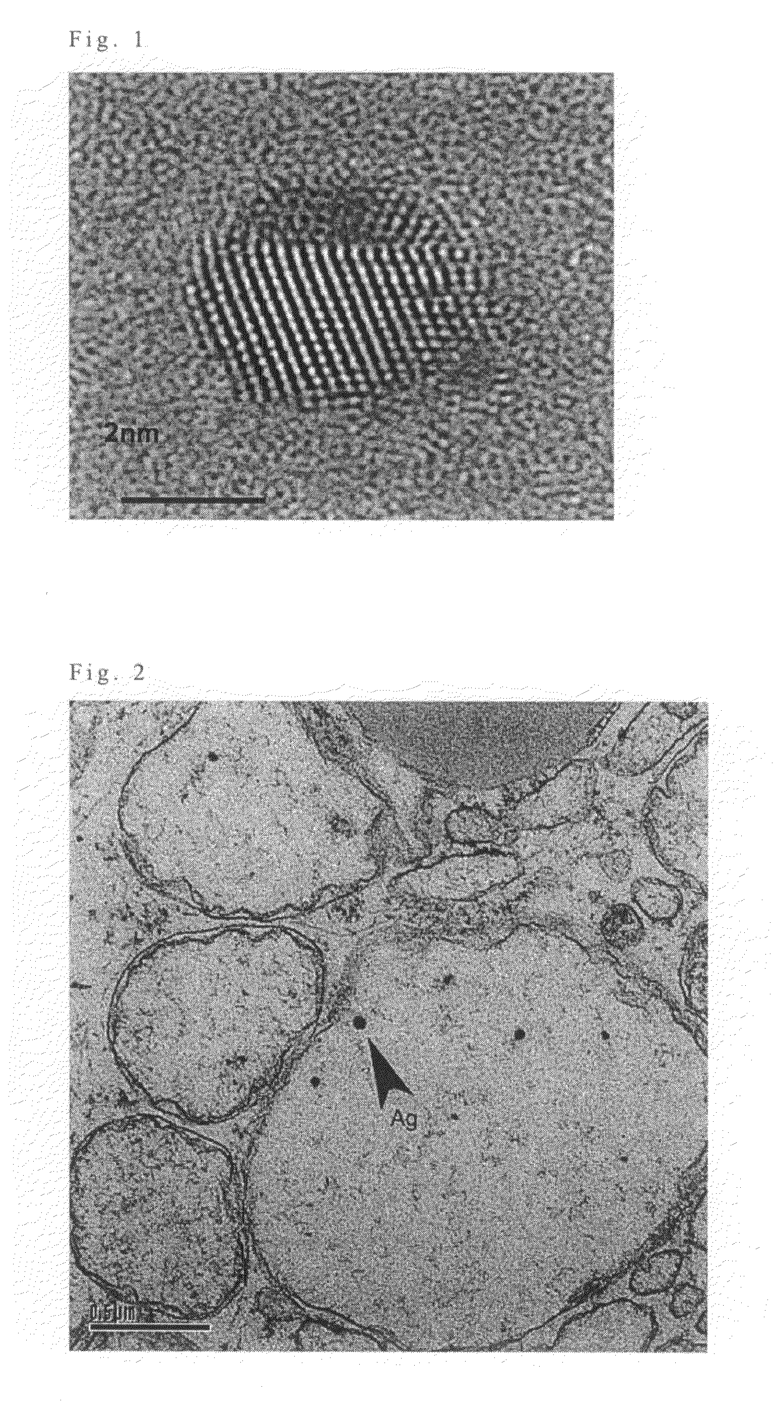 Pain relief composition comprising paramagnetic silver nanoparticles