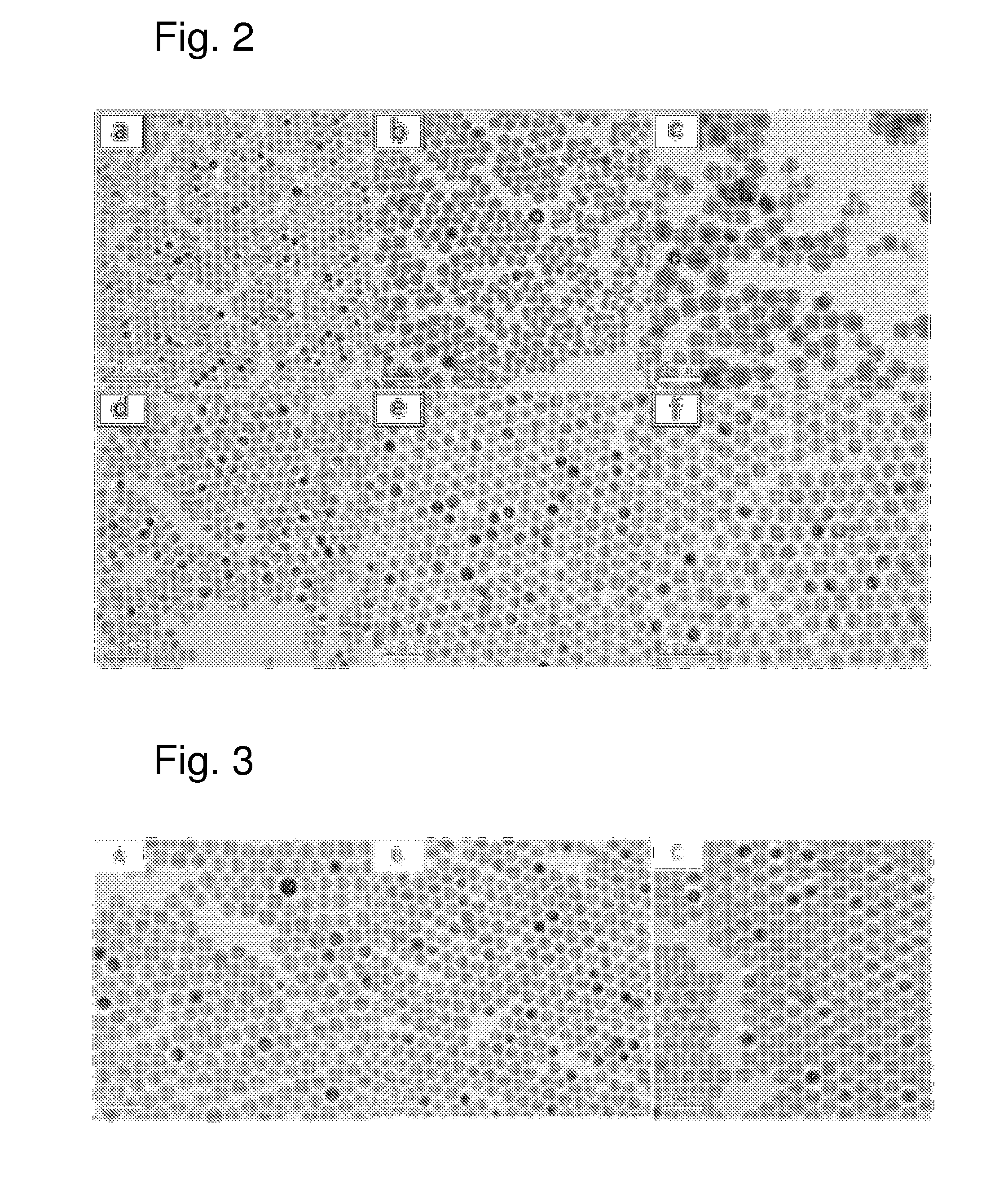 Tin based anode material for a rechargeable battery and preparation method