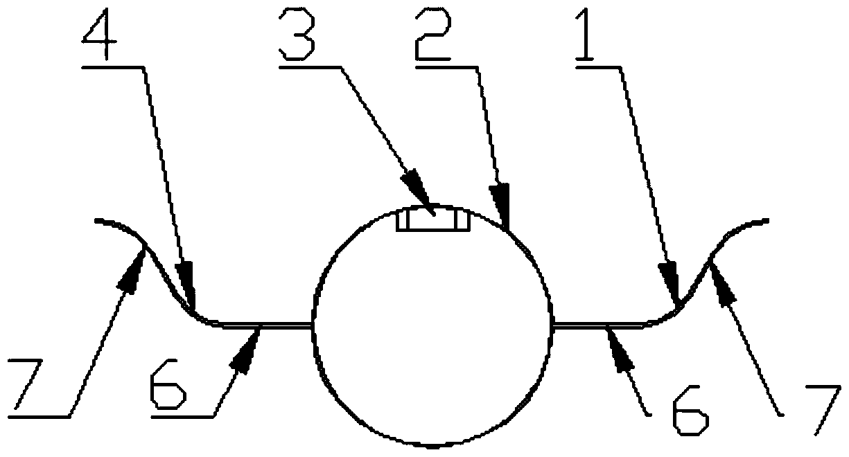 A double-wing anti-rodent and anti-leakage buried drip irrigation belt and its preparation method