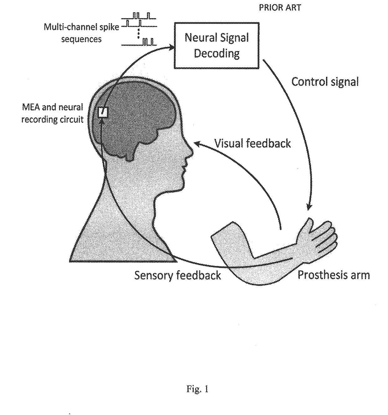 Computer system incorporating an adaptive model and methods for training the adaptive model