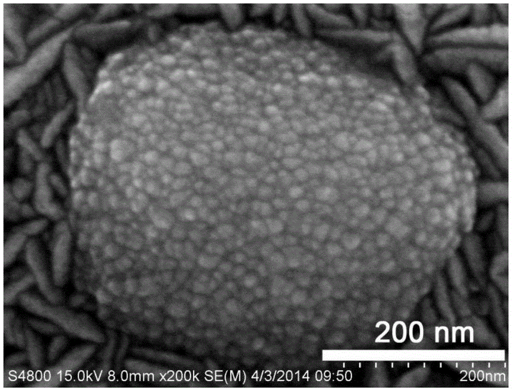 A kind of preparation method of co-p nano catalytic material