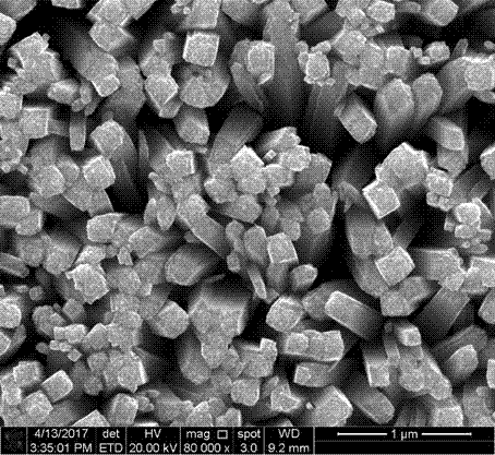 Gold-modified phosphorus-doped carbon nitride composite material modified titanium dioxide photoelectrode and preparation method and application thereof